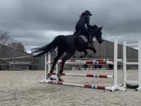 Entrainement de CSO au Logis des Cavaliers à Linselles pour nos cavaliers