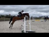 Entrainement de CSO au Logis des Cavaliers à Linselles pour nos cavaliers