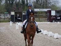 Concours de dressage au Domaine Équestre du Château d'Hem.