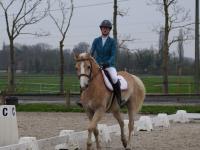 Concours de dressage au Domaine Équestre du Château d'Hem.