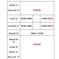 Planning Noel / Nouvel An 2013