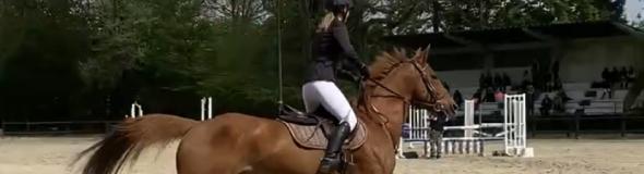 Concours de CSO au Club Hippique de Roubaix avec nos cavaliers